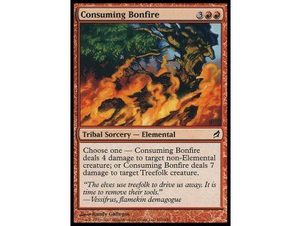 Consuming Bonfire