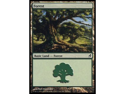 Forest