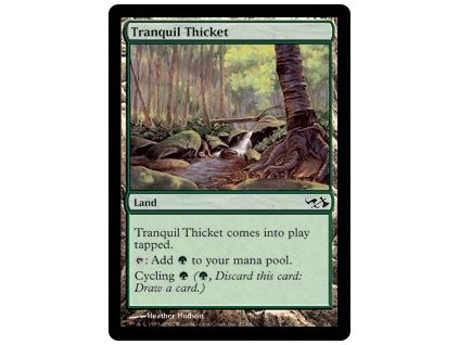 Tranquil Thicket (Foil NE, Stav Near Mint)