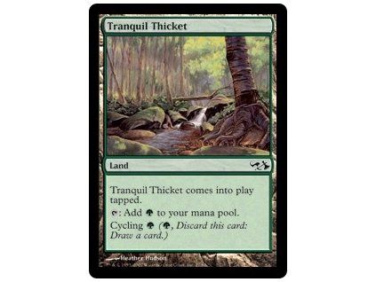 Tranquil Thicket