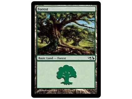 Forest