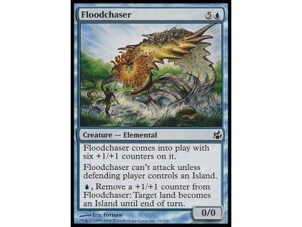 Floodchaser