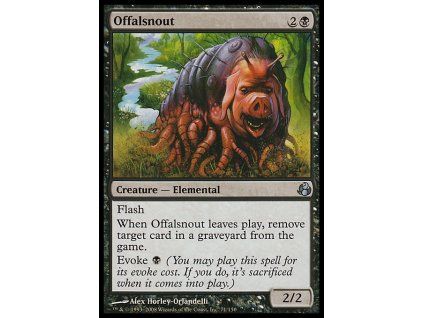 Offalsnout