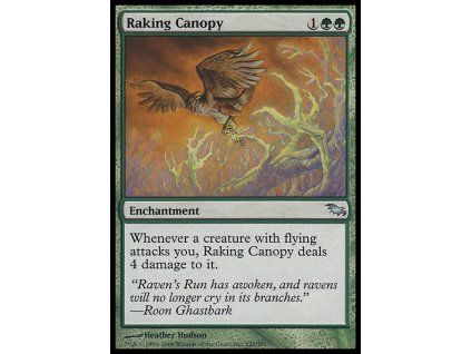 Raking Canopy