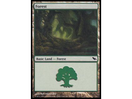 Forest