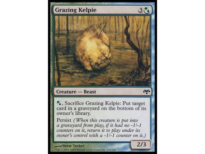 Grazing Kelpie