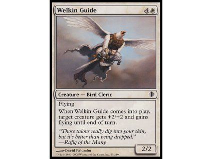Welkin Guide