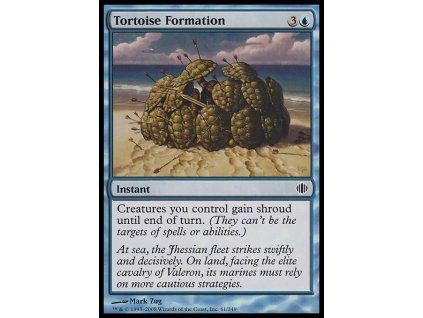 Tortoise Formation