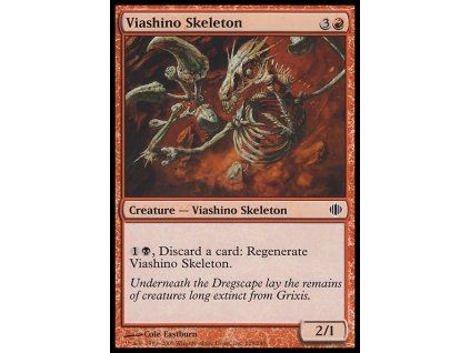 Viashino Skeleton