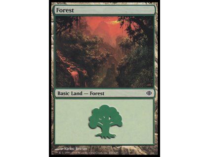 Forest