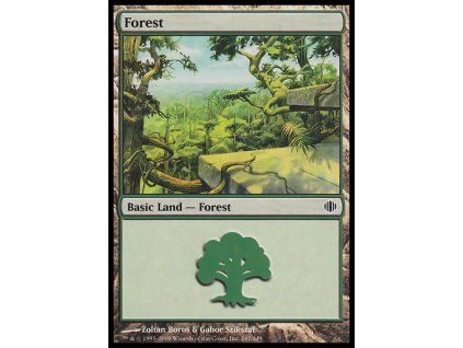 Forest