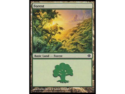 Forest