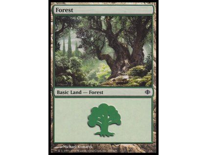 Forest