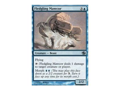 Fledgling Mawcor