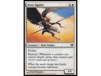 Aven Squire (Foil NE, Stav Near Mint)