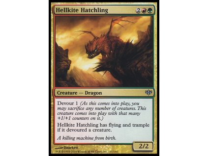 Hellkite Hatchling (Foil ANO, Stav Near Mint)