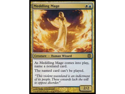Meddling Mage
