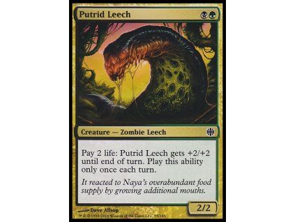 Putrid Leech