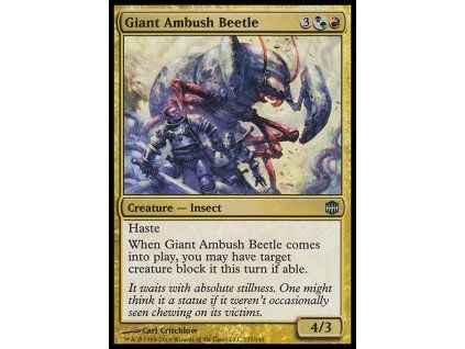 Giant Ambush Beetle