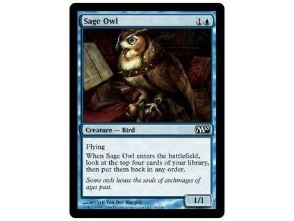 Sage Owl