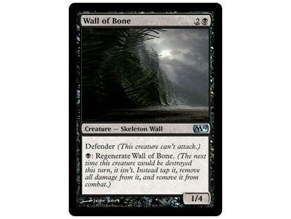 Wall of Bone