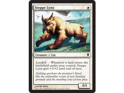 Steppe Lynx