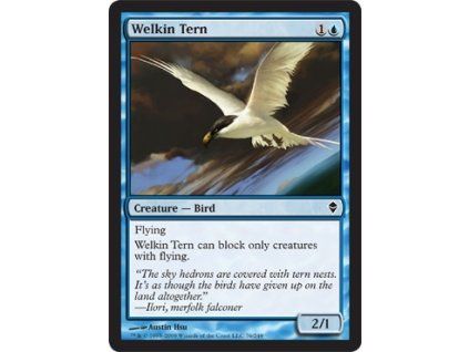 Welkin Tern