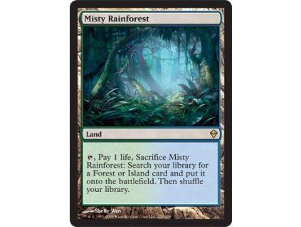 Misty Rainforest