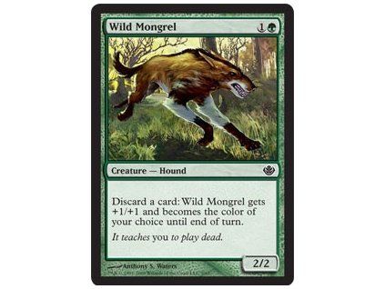 Wild Mongrel