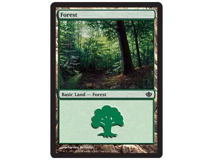 Forest
