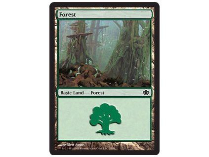 Forest