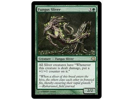 Fungus Sliver