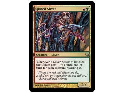 Spined Sliver