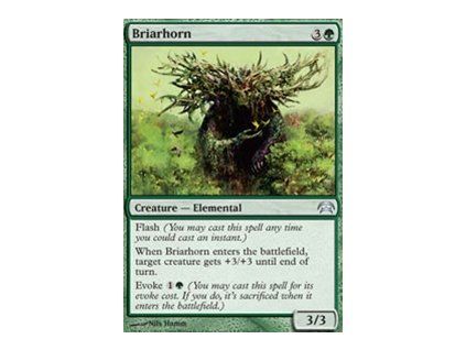 Briarhorn