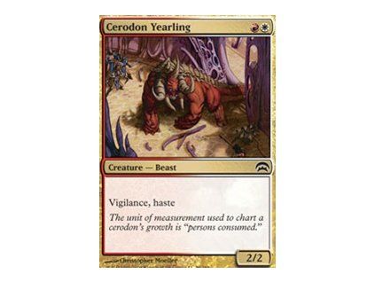 Cerodon Yearling