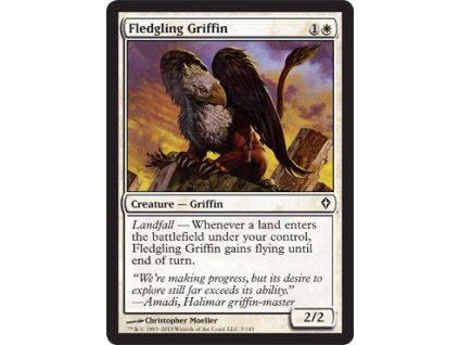 Fledgling Griffin