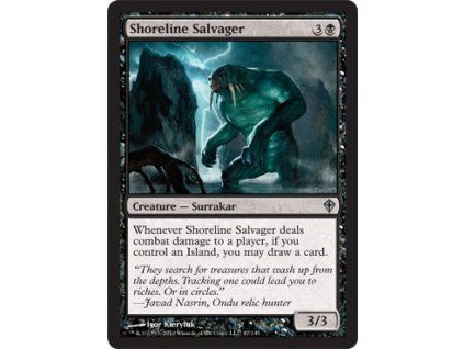 Shoreline Salvager
