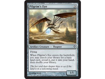 Pilgrim's Eye