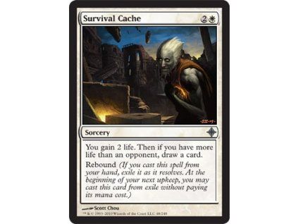 Survival Cache