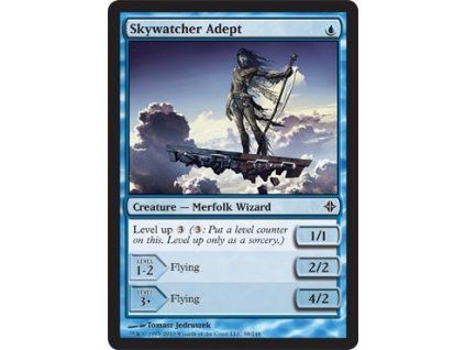 Skywatcher Adept