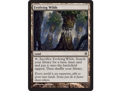 Evolving Wilds (Foil NE, Stav Near Mint)