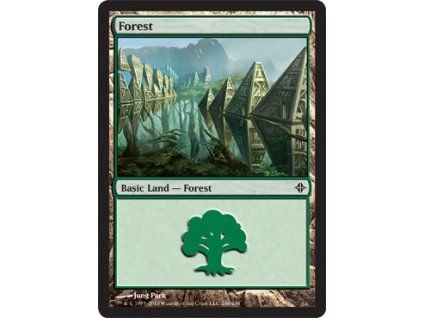 Forest