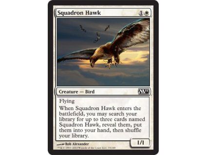 Squadron Hawk