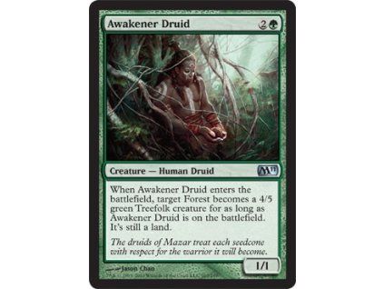Awakener Druid