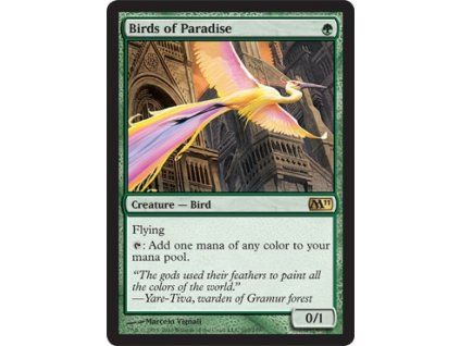 Birds of Paradise