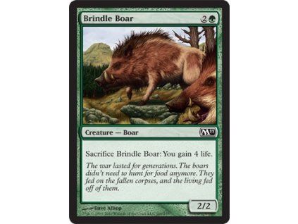 Brindle Boar