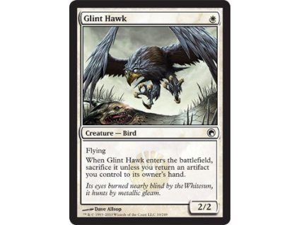 Glint Hawk