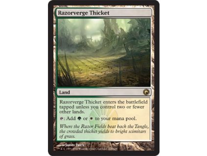 Razorverge Thicket (Foil NE, Stav Near Mint)