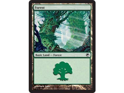Forest
