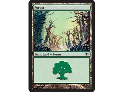 Forest
